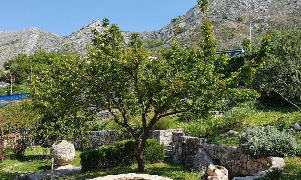 Photo of Outdoor in Plat