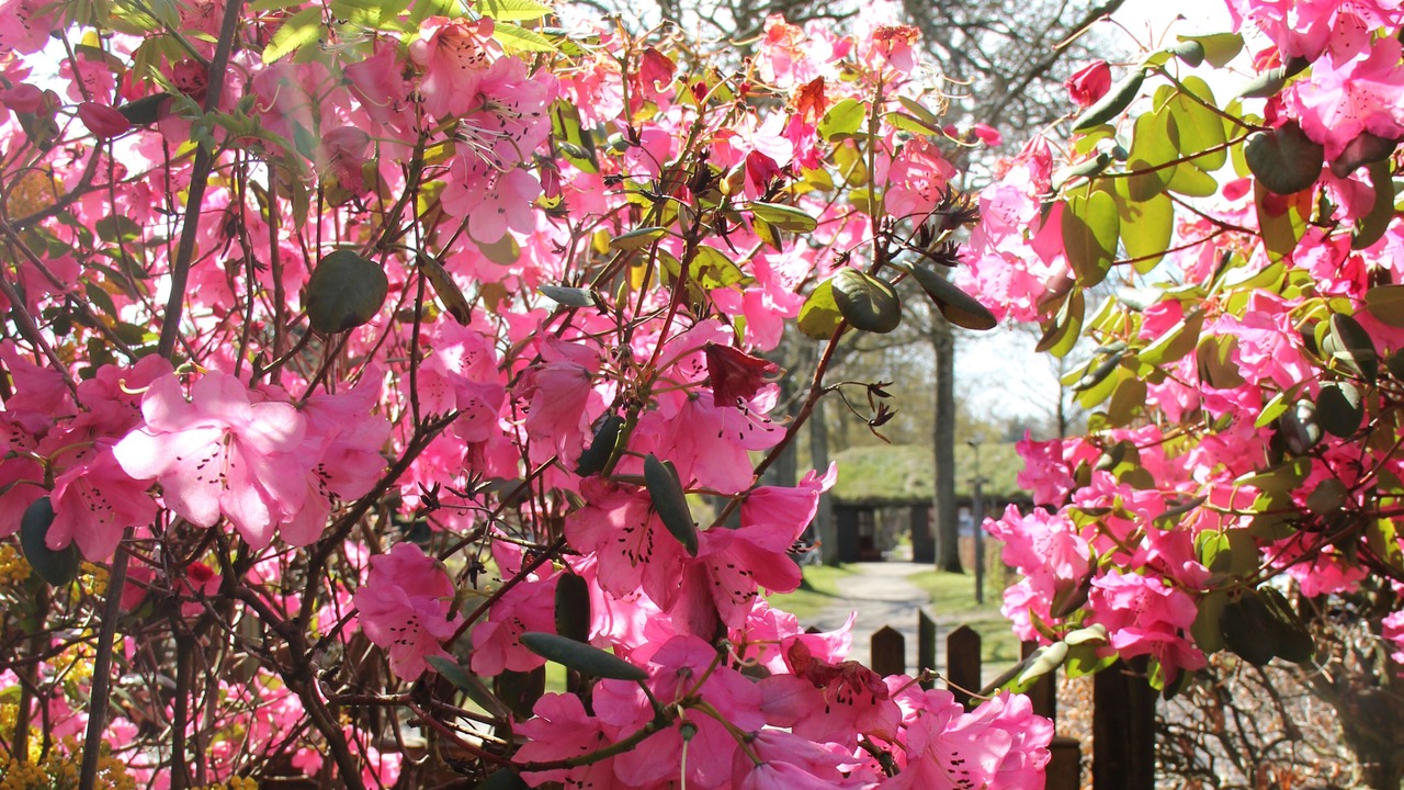 Photo of Others in Kolding