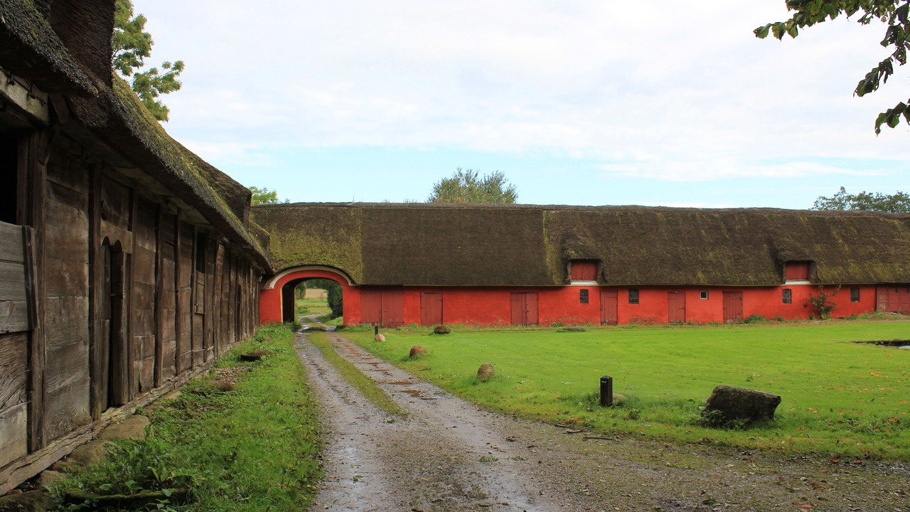 Photo of Others in Kolding