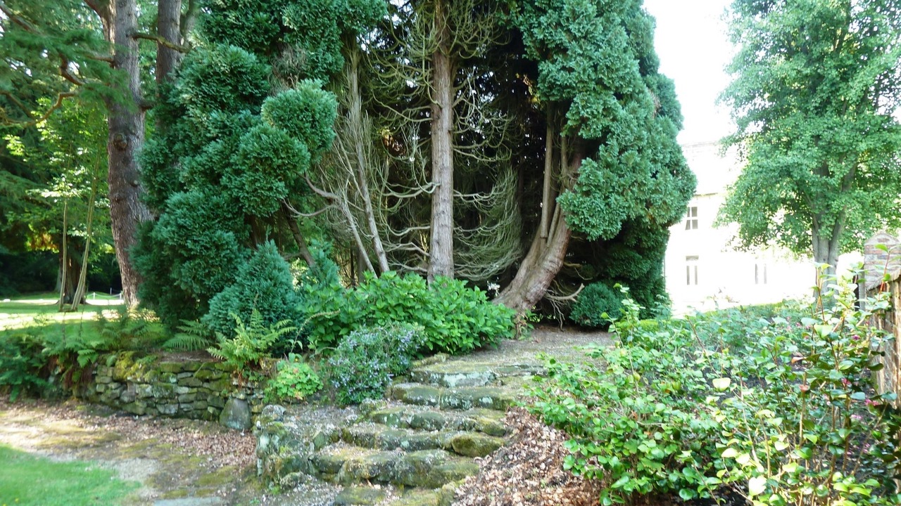 Photo of Outdoor in Eshott