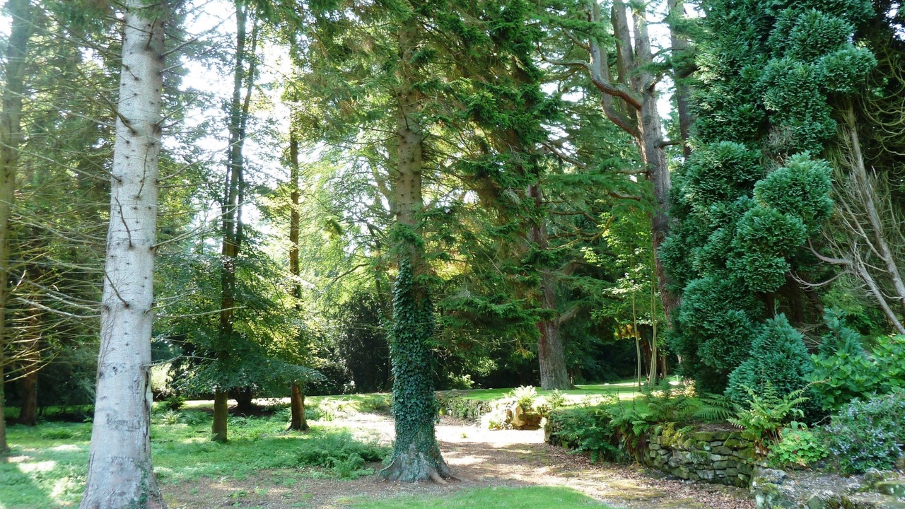 Photo of Outdoor in Eshott