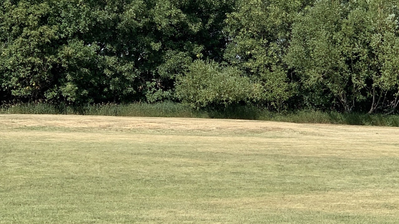 Photo of Outdoor in Neepawa
