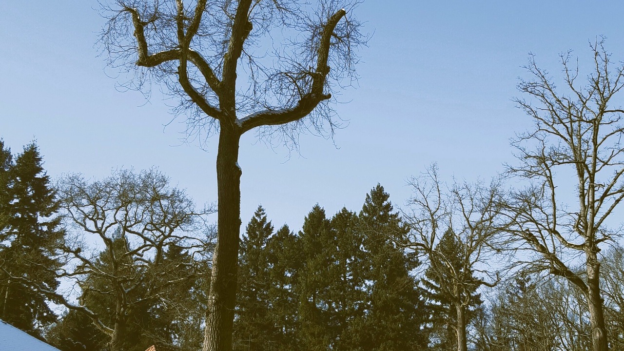 Photo of Outdoor in Lamorlaye