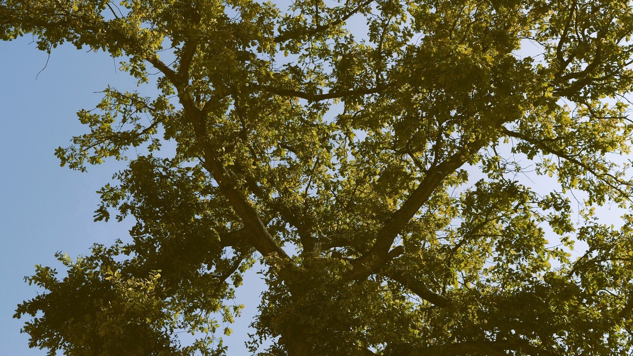 Photo of Outdoor in Lamorlaye