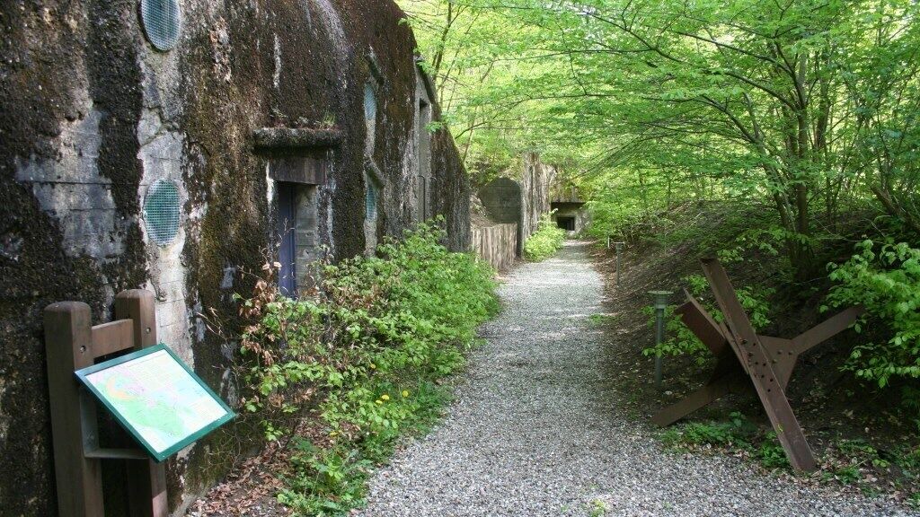 Photo of Outdoor in Skanderborg