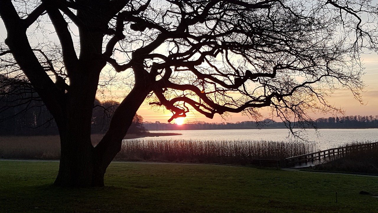 Photo of Outdoor in Skanderborg