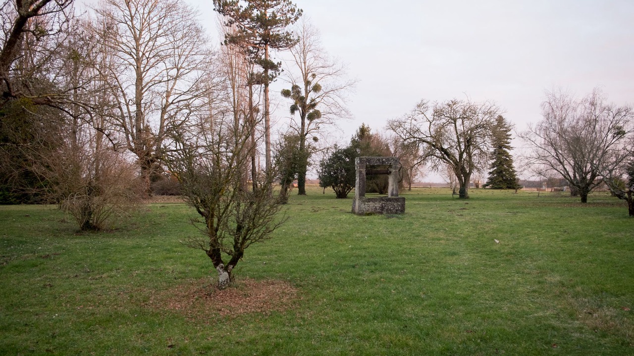 Photo of Outdoor in Bribaudon