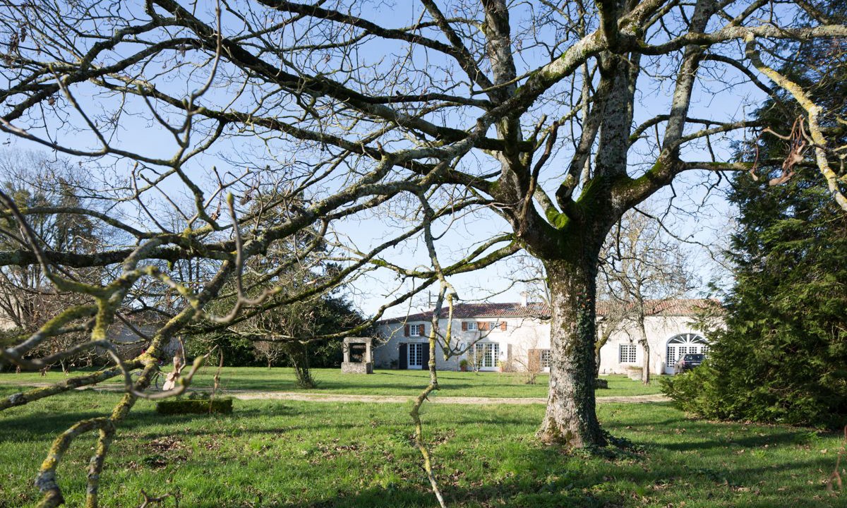 Photo of Outdoor in Bribaudon