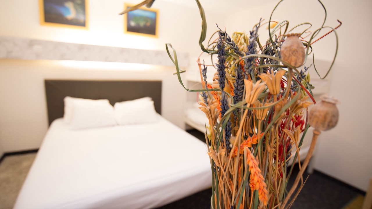 Photo of Others in Tours