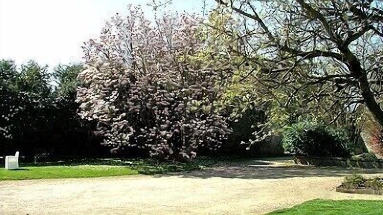 Photo of Outdoor in Pontivy