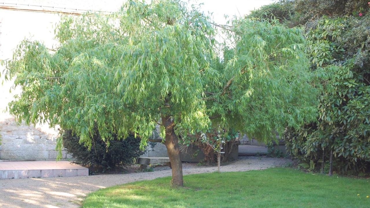 Photo of Outdoor in Pontivy