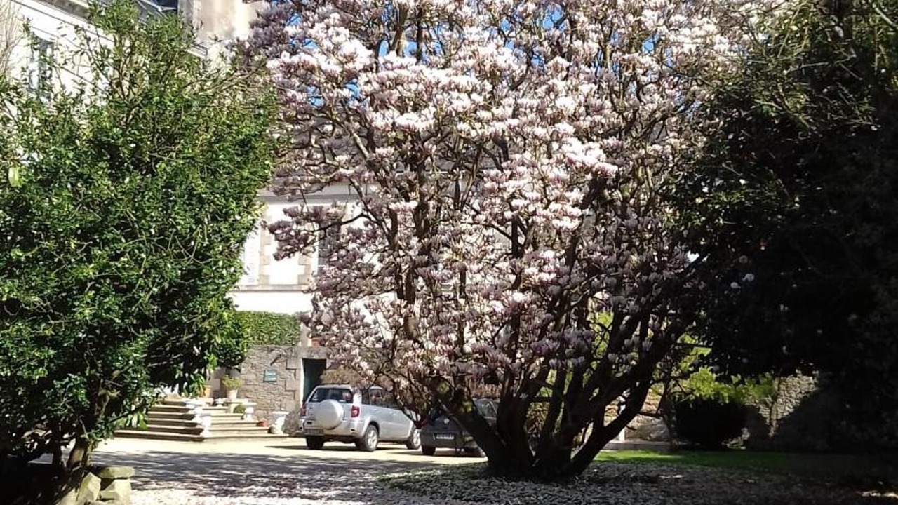 Photo of Outdoor in Pontivy