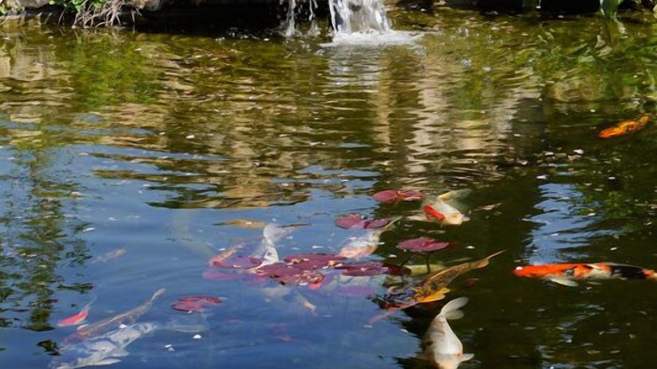 Photo of Outdoor in Fleurie