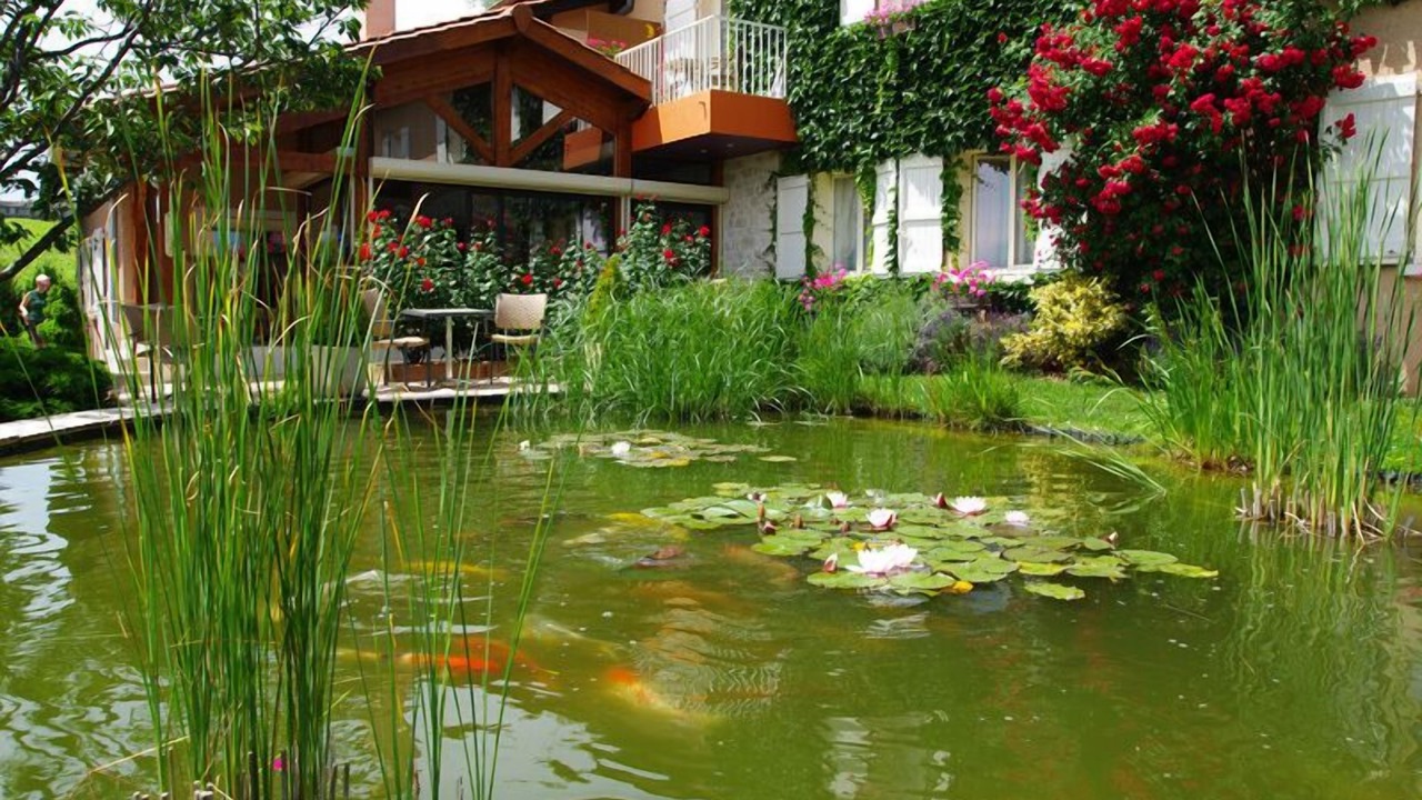 Photo of Outdoor in Fleurie