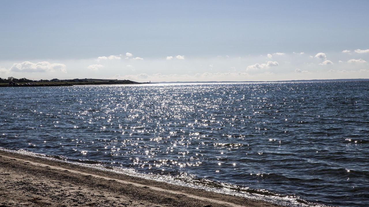 Photo of Others in Brydegaard