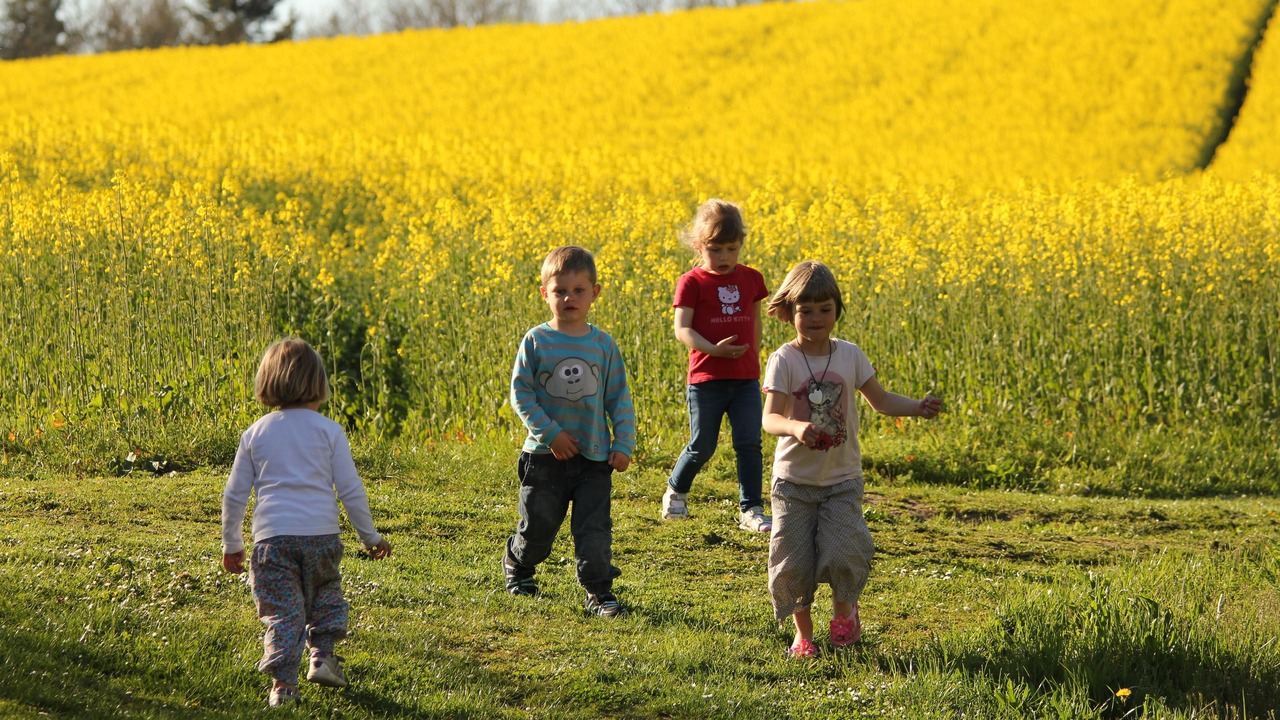 Photo of Others in Brydegaard