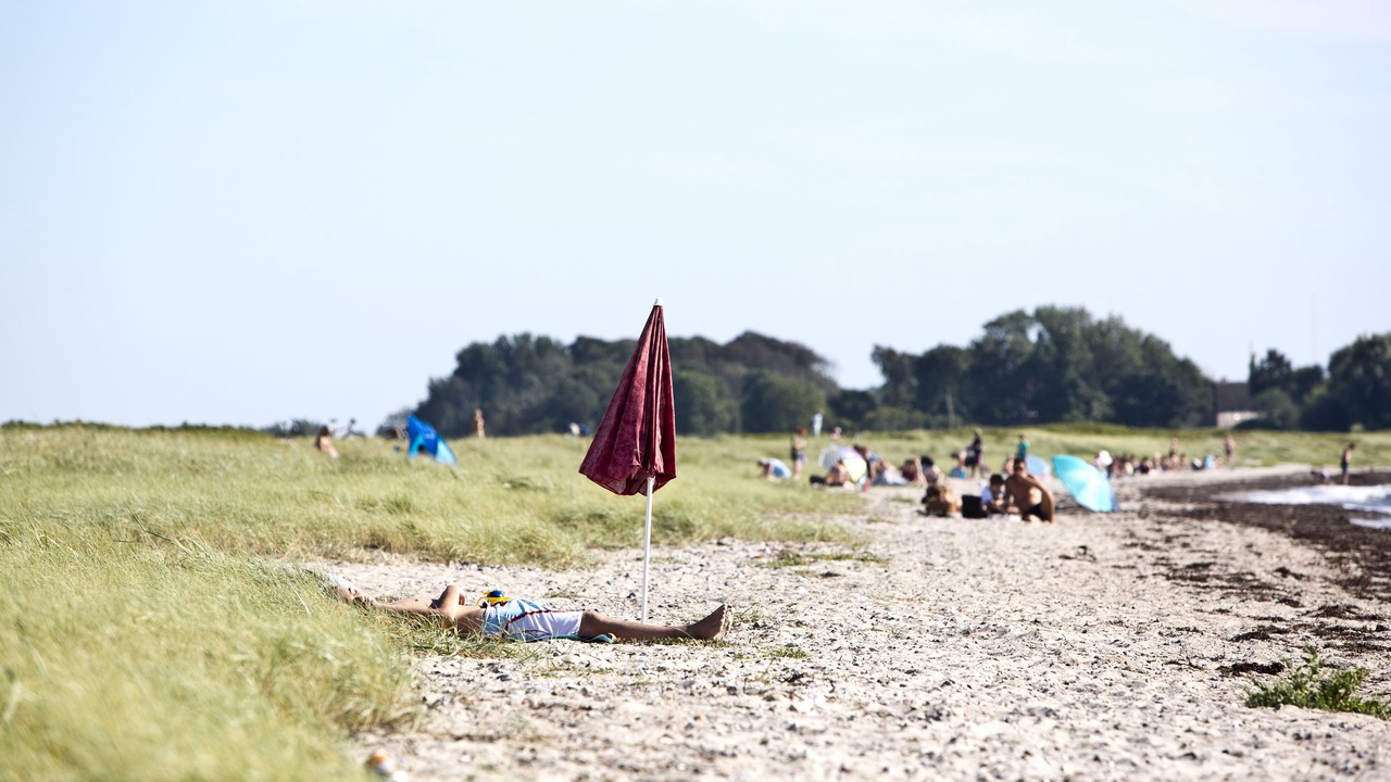 Photo of Others in Brydegaard