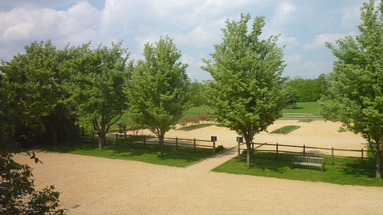 Photo of Outdoor in Cambridge