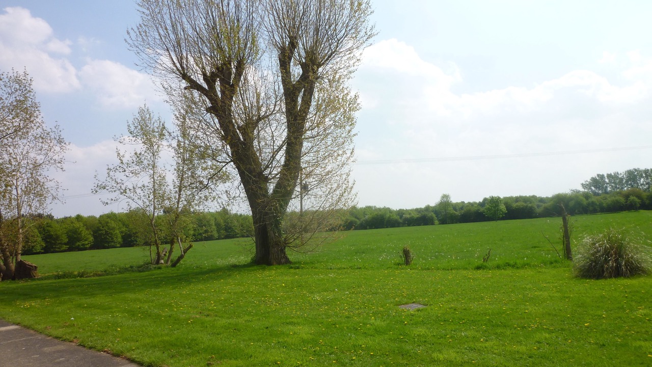 Photo of Bedroom in Cambridge
