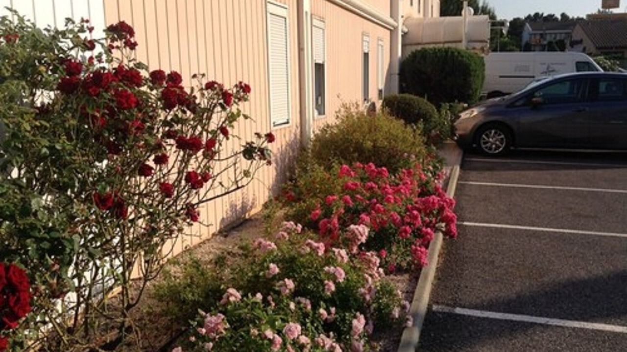 Photo of Others in Saint-Jean-de-Vedas