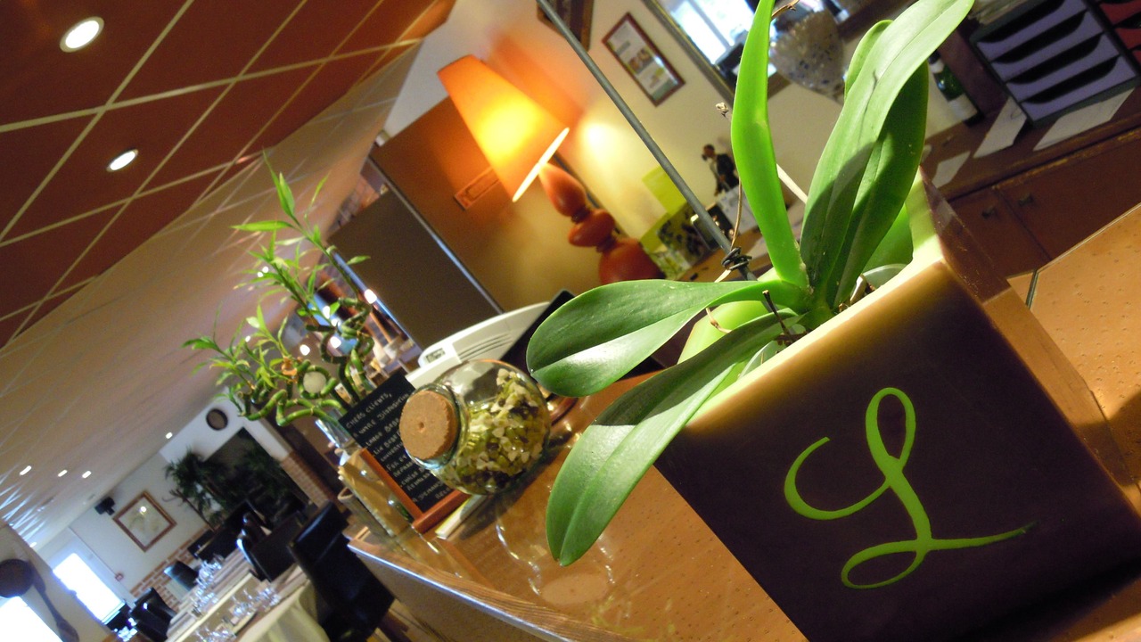 Photo of Others in Dizy