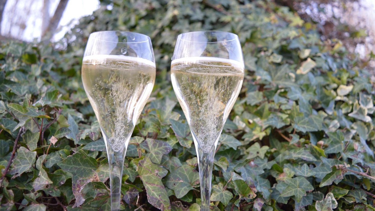 Photo of Outdoor in Dizy