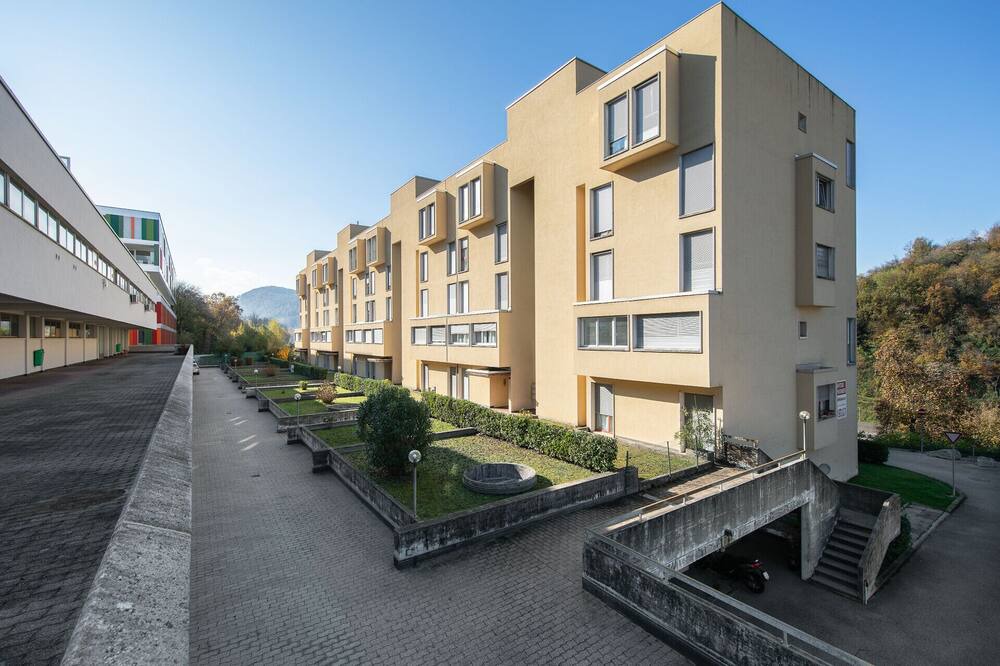 Photo of Outdoor in Paradiso