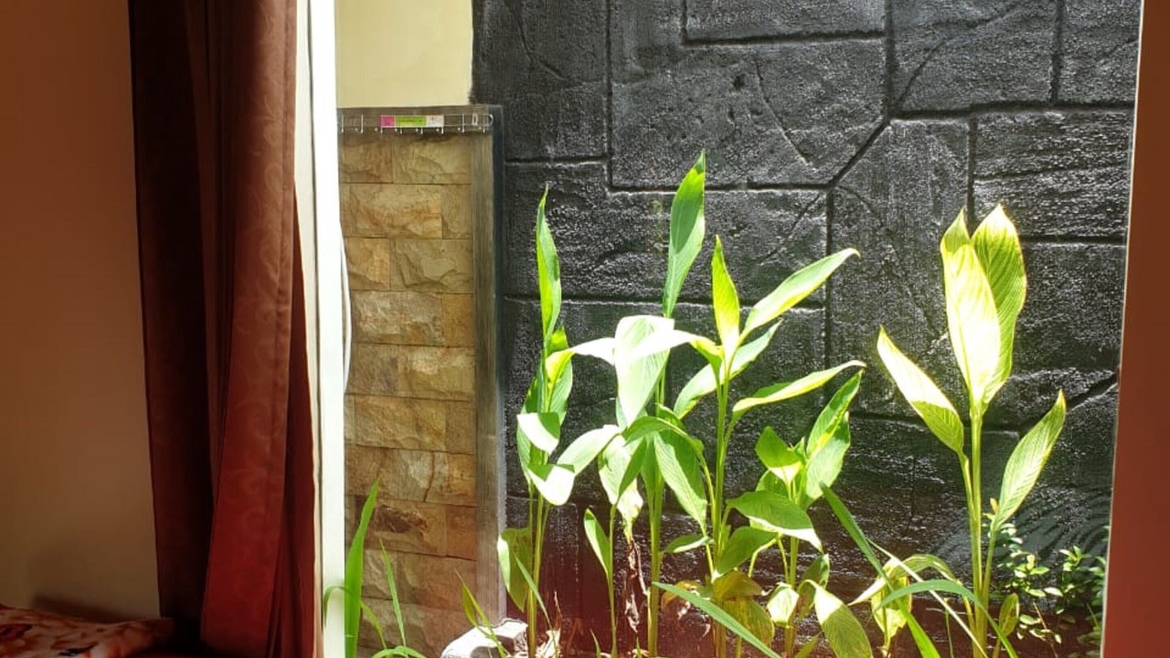Photo of Bedroom in Kalipuro