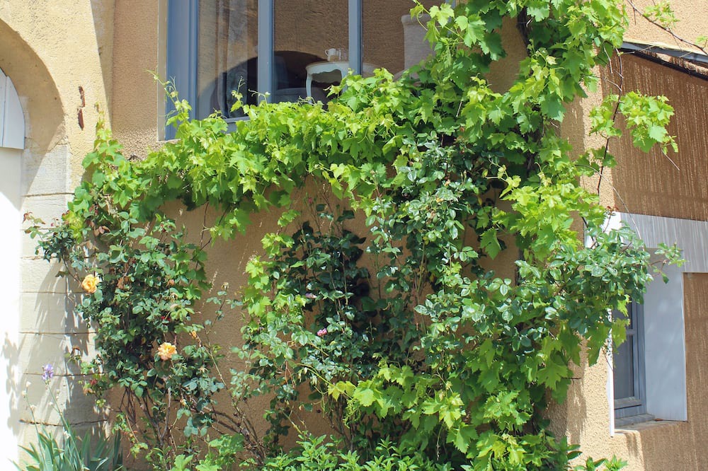 Photo of Outdoor in Vauconcourt-Nervezain