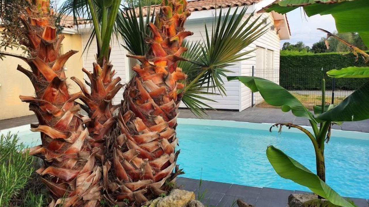 Photo of Outdoor in Civrac-en-Medoc