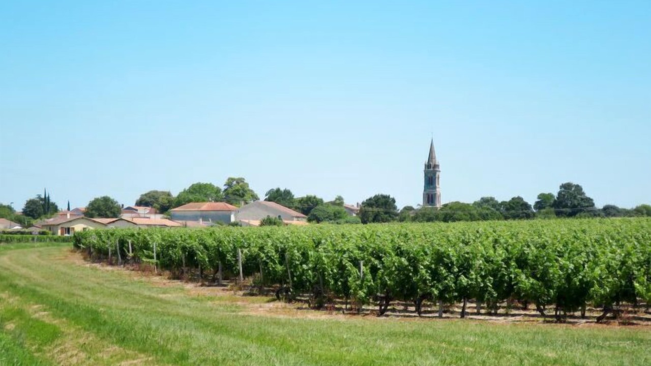 Photo of Outdoor in Civrac-en-Medoc