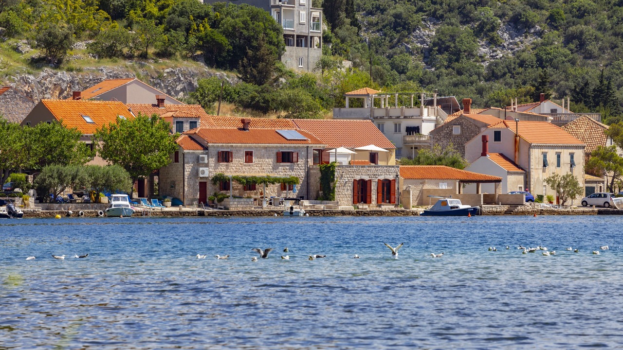 Photo of Outdoor in Zaton