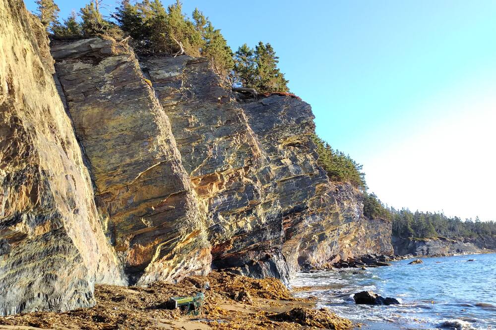 Photo of Others in Bridgewater