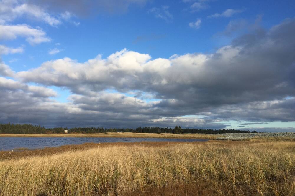 Photo of Others in Bridgewater