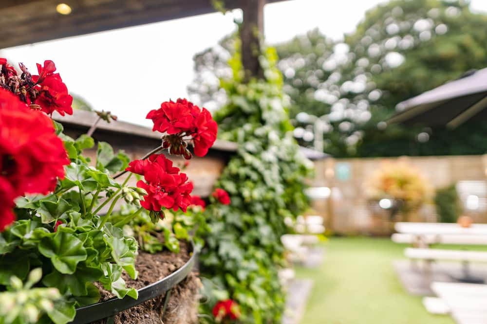 Photo of Outdoor in West Malling