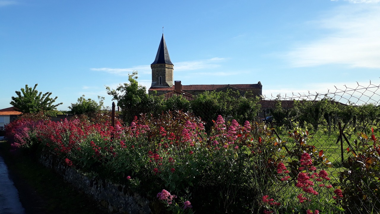 Photo of Outdoor in Saint-Juire-Champgillon