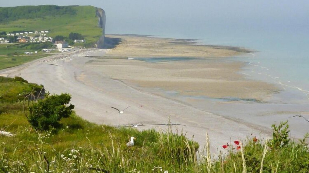 Photo of Others in Mesnil-Val-Plage