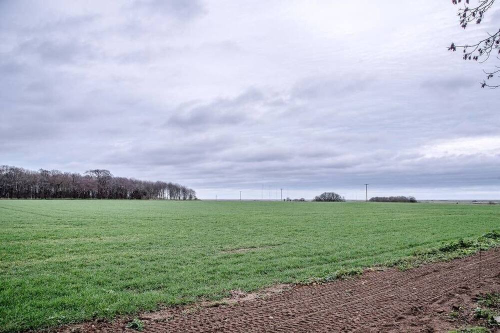 Photo of Others in Sudbourne