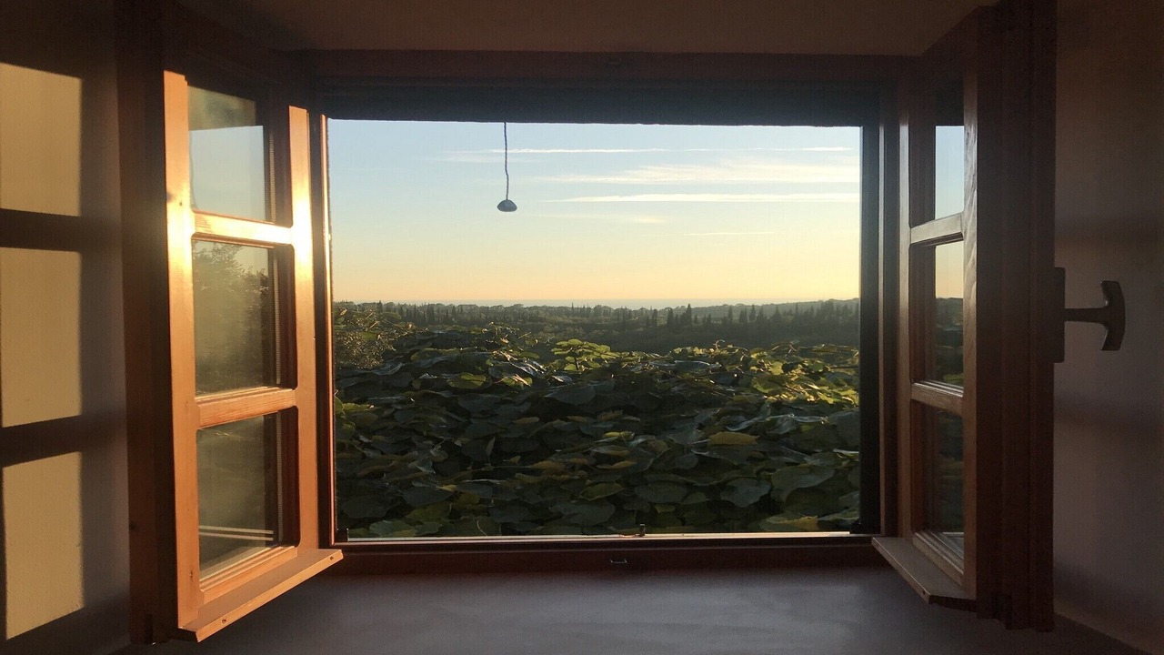 Photo of Bedroom in Cilipi