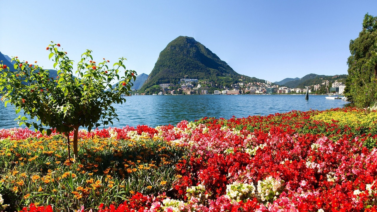 Photo of Outdoor in Viganello