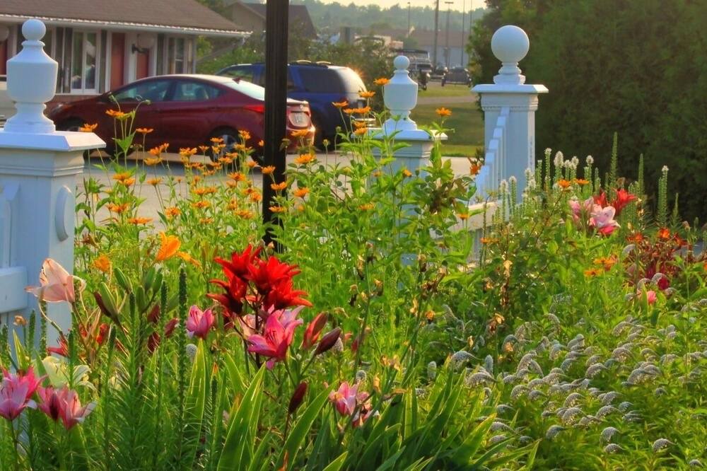Photo of Outdoor in Sault Ste. Marie