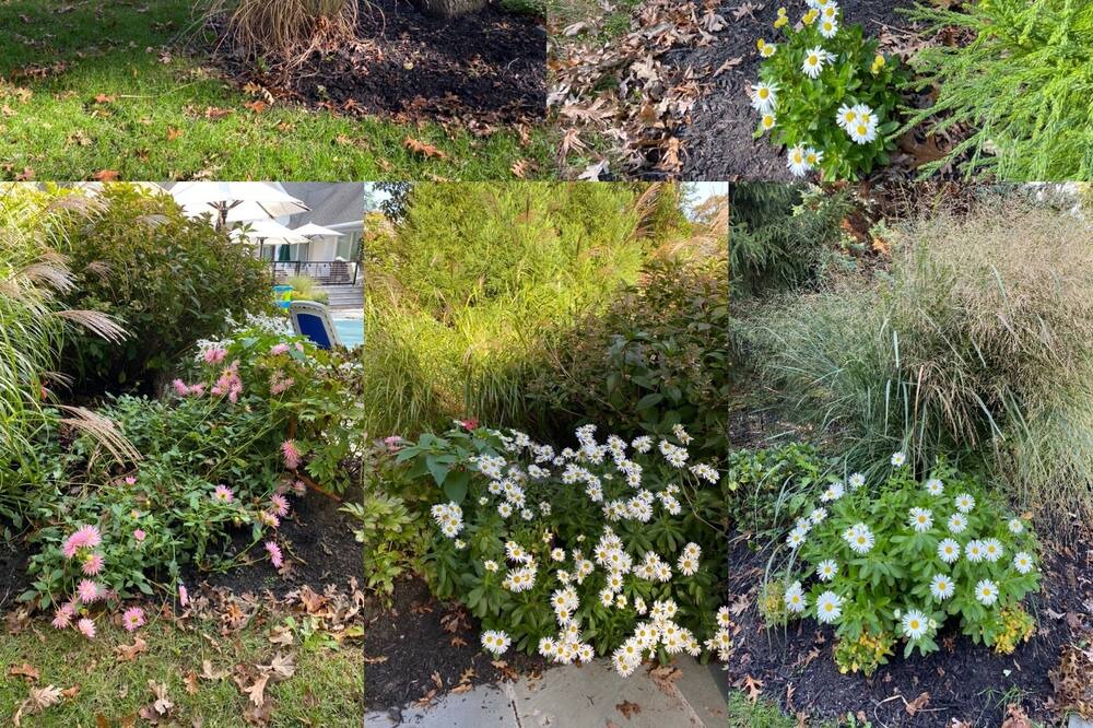 Photo of Outdoor in Remsenburg