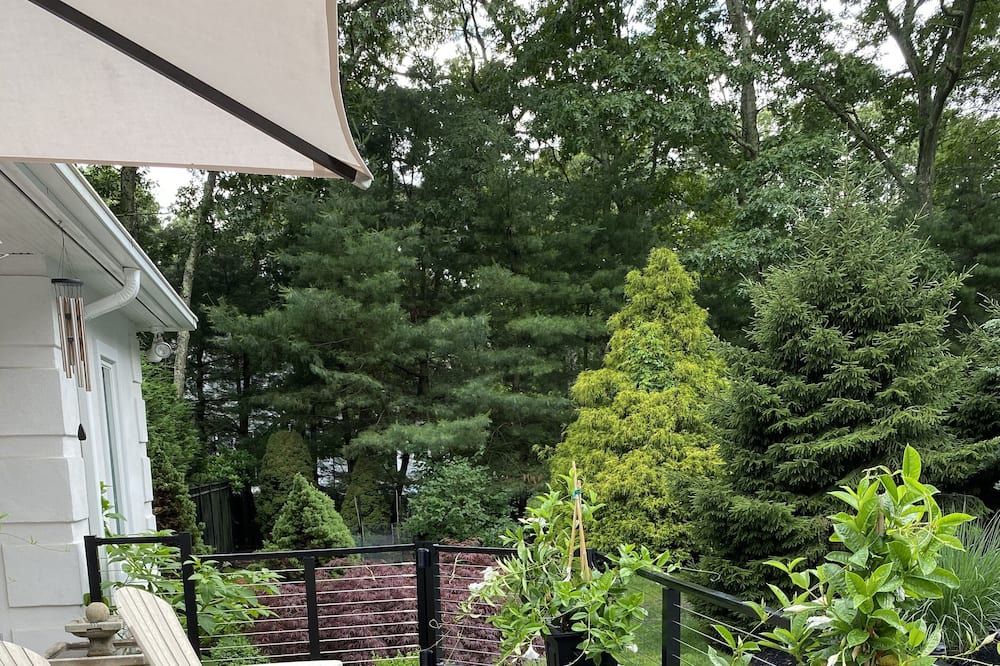 Photo of Patio Balcony in Remsenburg