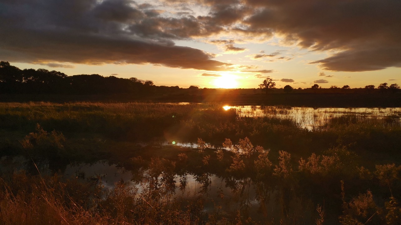 Photo of Others in Exelby