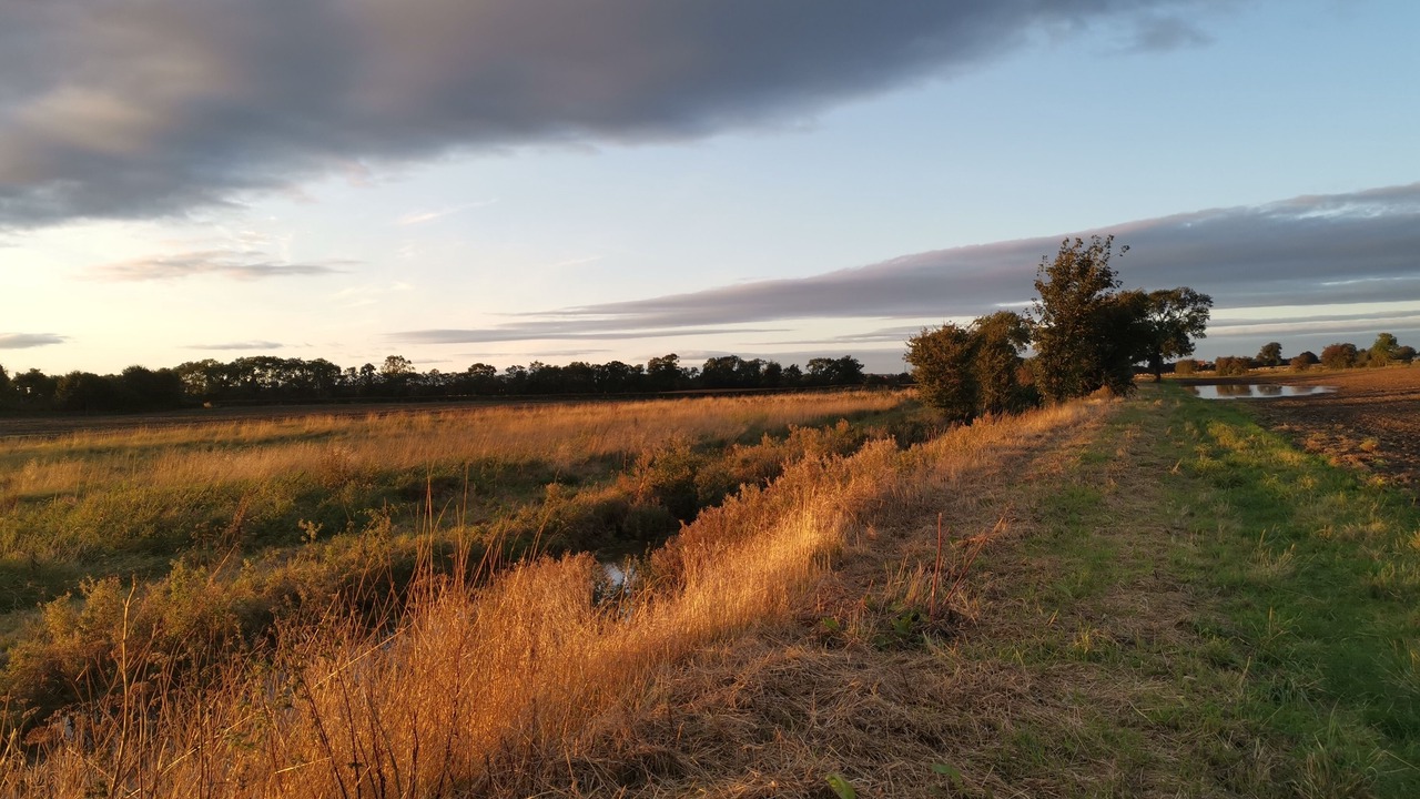 Photo of Others in Exelby