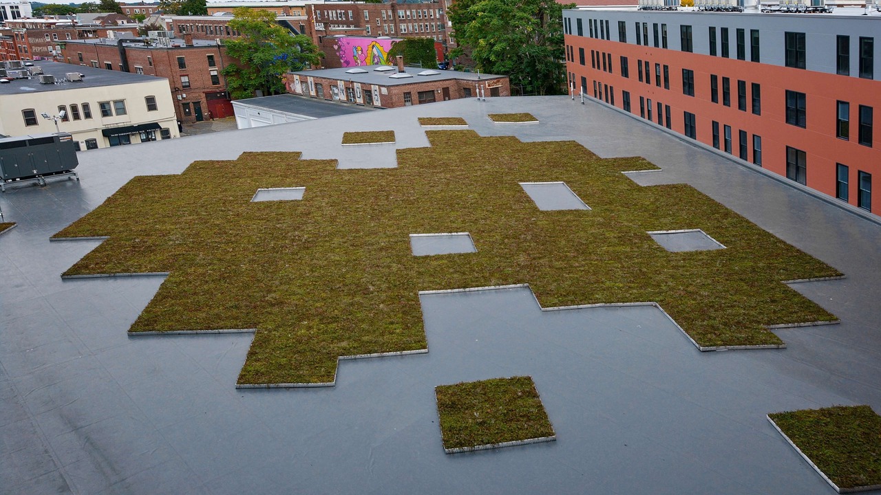 Photo of Outdoor in Salem