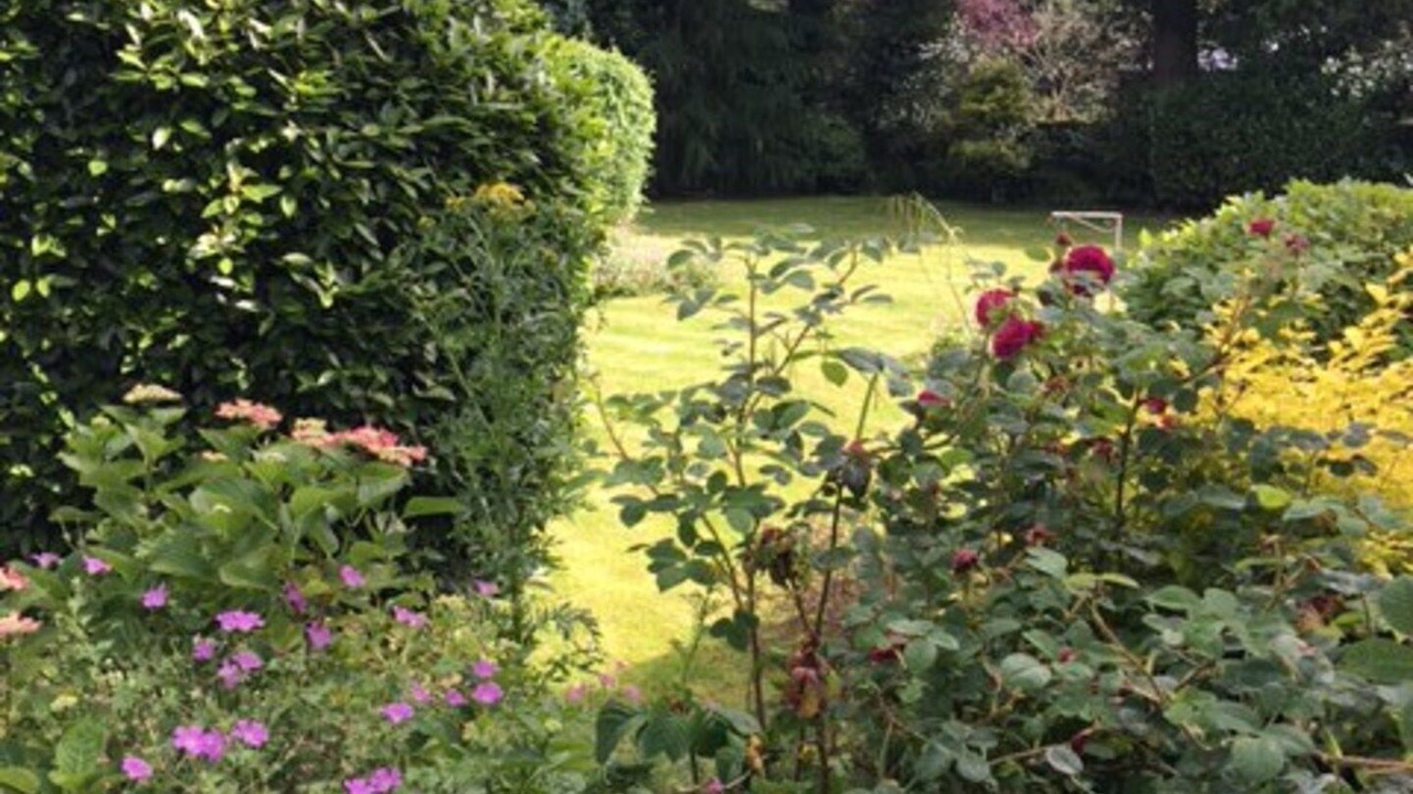 Photo of Others in Winton