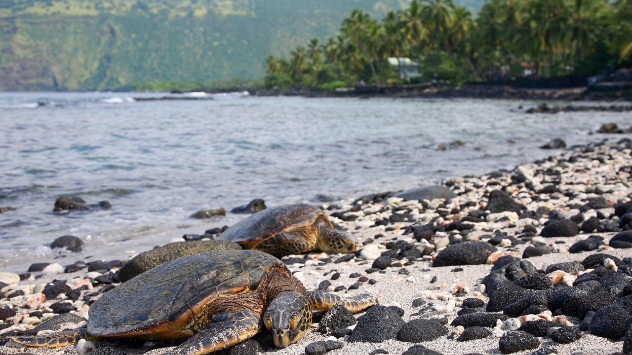 Photo of Others in Waikoloa