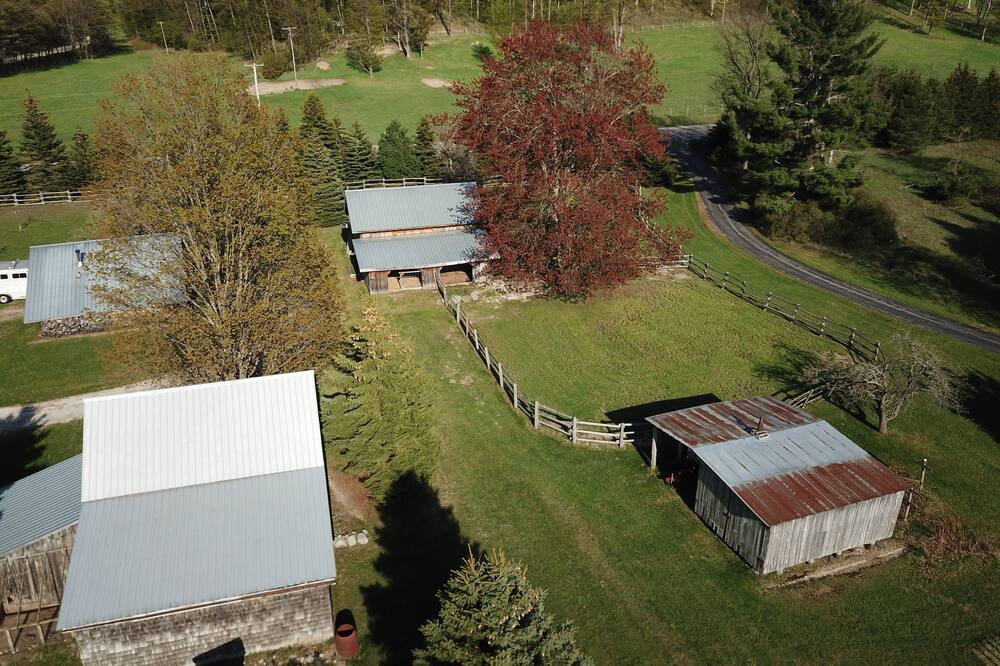 Photo of Outdoor in Maple City