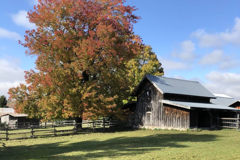 Photo of Outdoor in Maple City